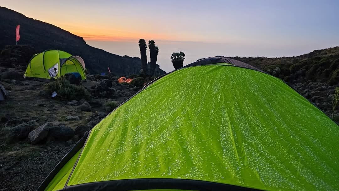 Mogli Adventure Tanzania-莫西必去景点