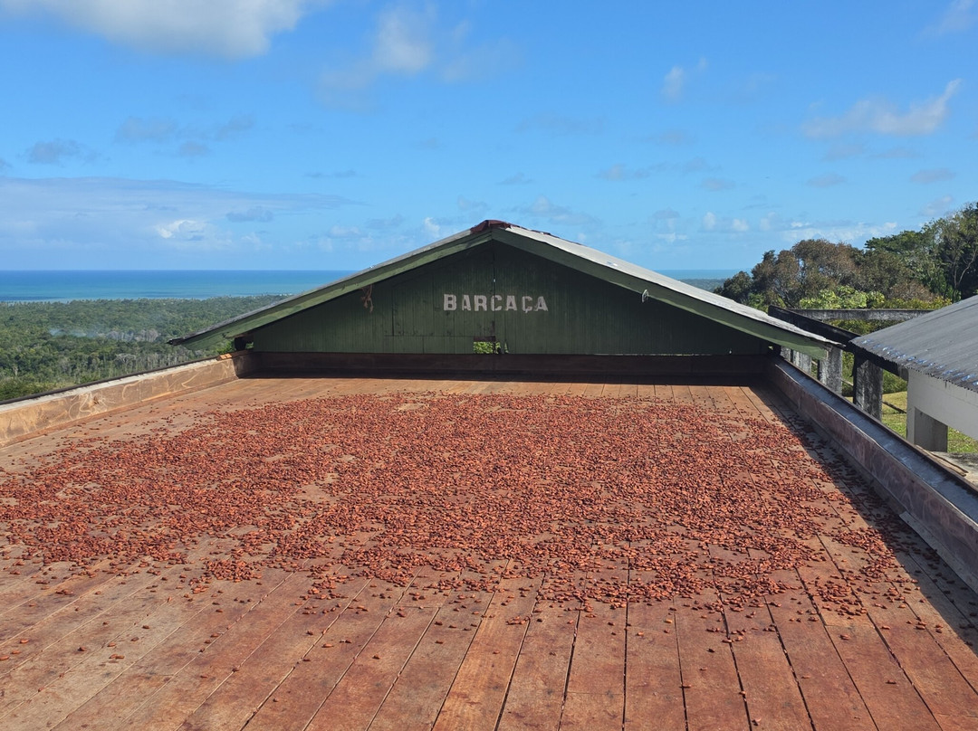 Fazenda São Francisco - Sul Da Bahia-Serra Grande必去景点