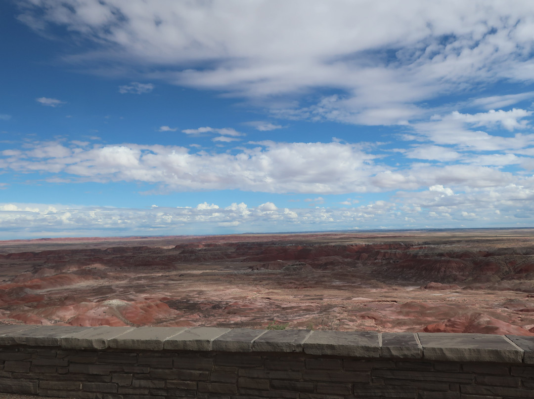 Petrified Forest National Park-霍尔布鲁克必去景点