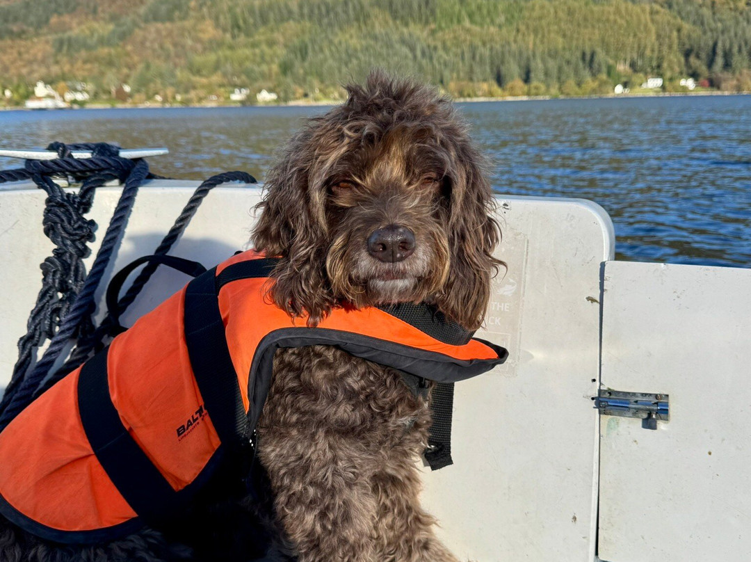 Loch Goil Cruisers-Lochgoilhead必去景点