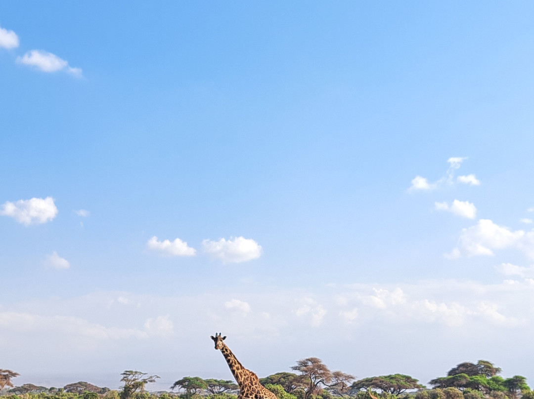 Aventure Safaris-蒙巴萨必去景点