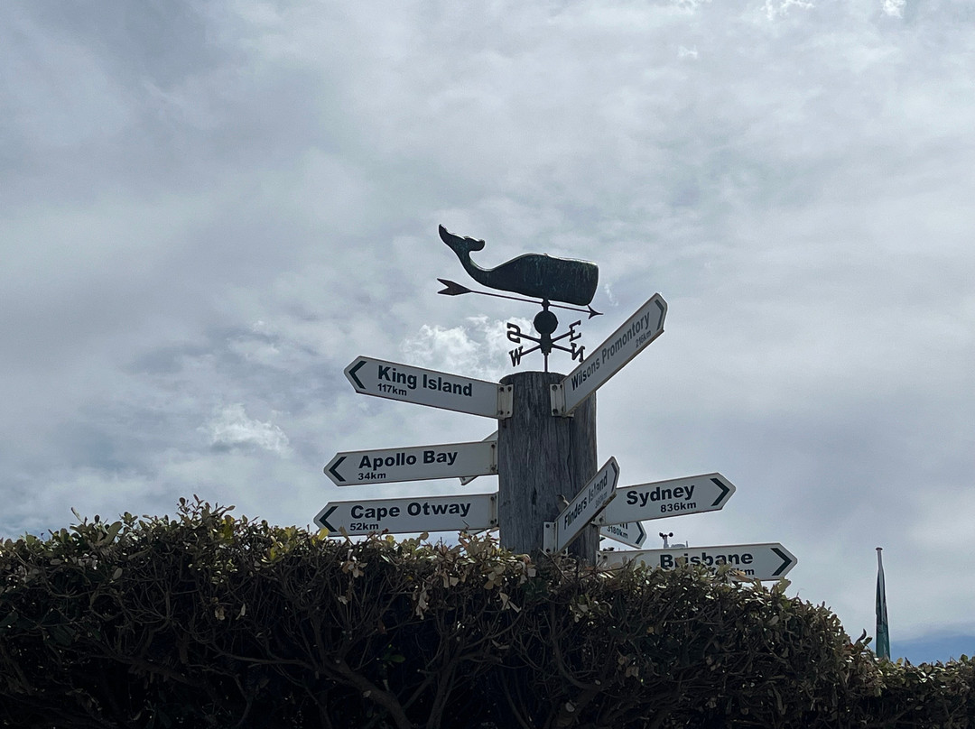 The Lorne Pier-洛恩必去景点