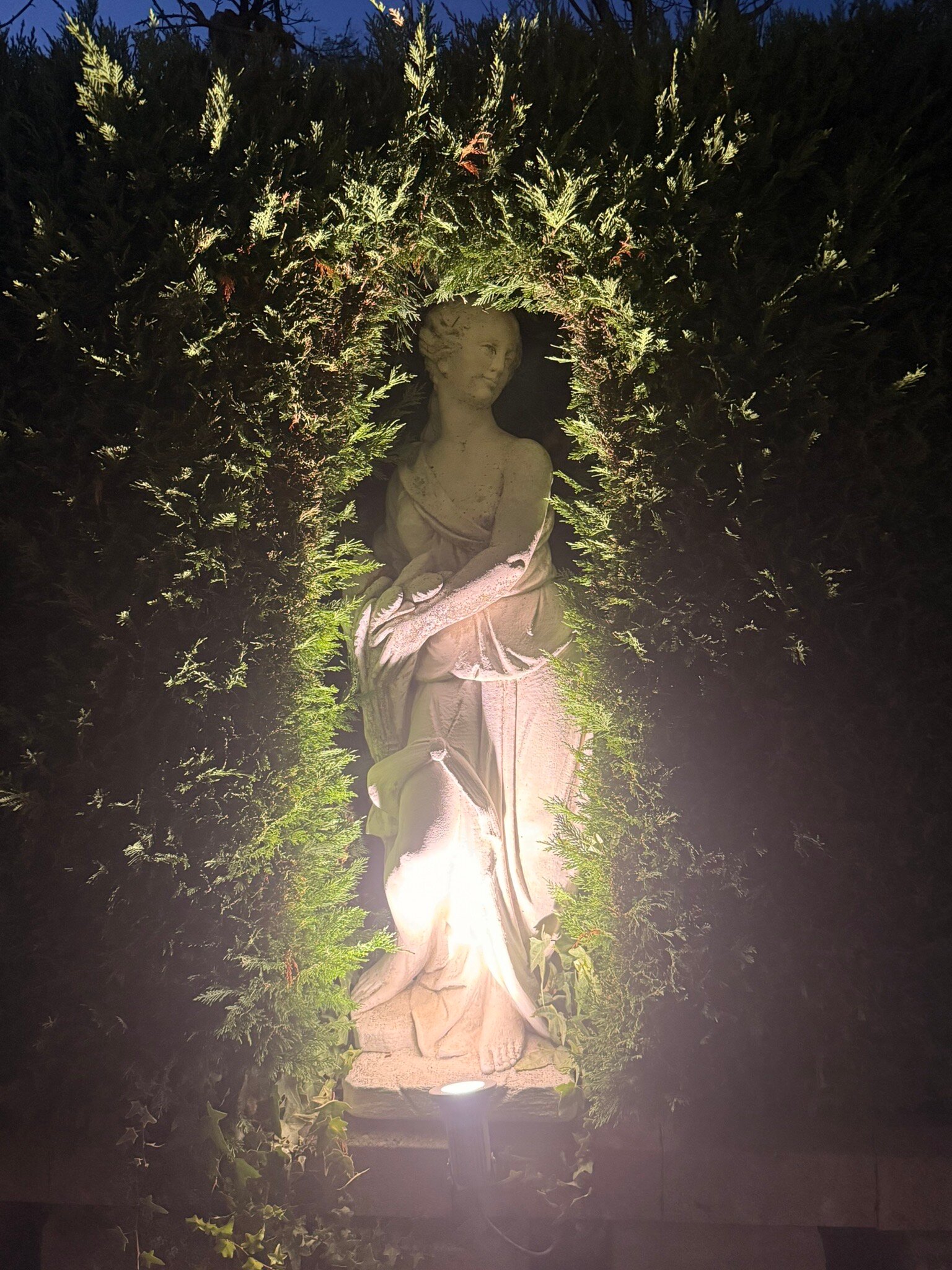Duchessa Margherita-官方