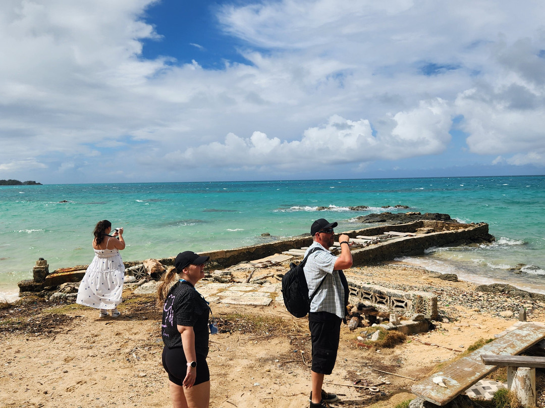 Sea Glass Beach-汉密尔顿必去景点