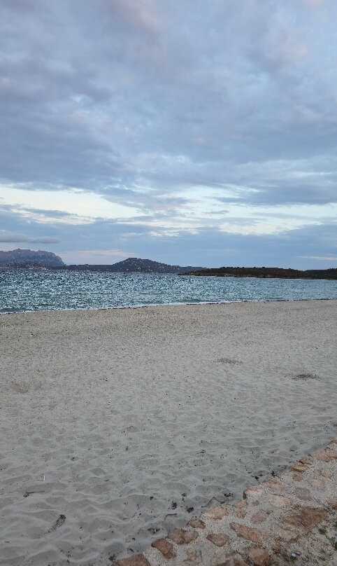 Spiaggia Pittulongu - La Playa-奥尔比亚必去景点