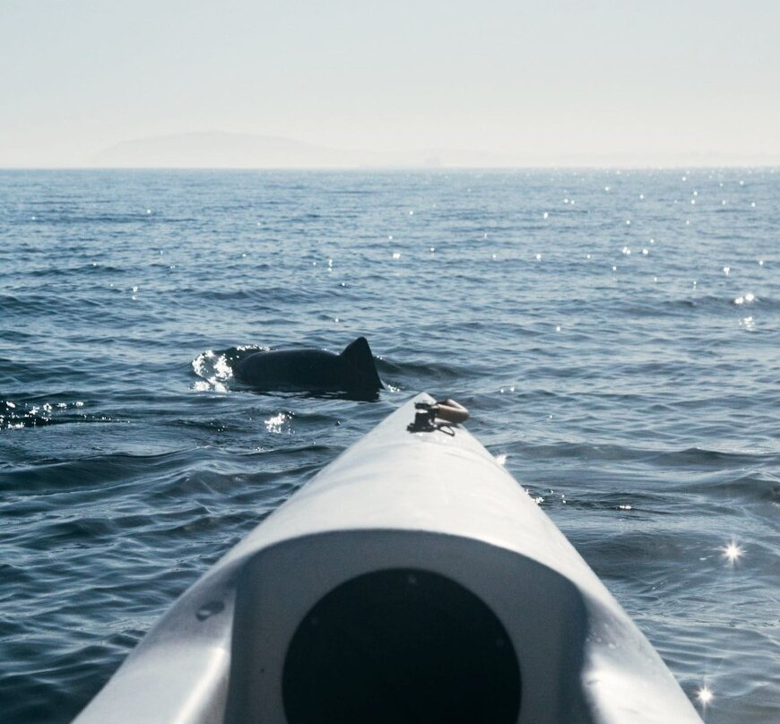 Kayak Wild-Three Anchor Bay必去景点