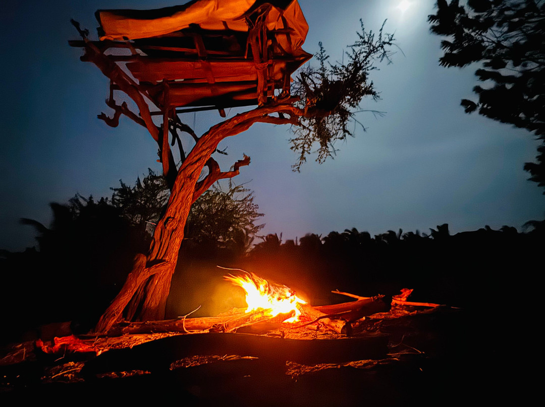 Tour Buddy-卡图纳耶克必去景点