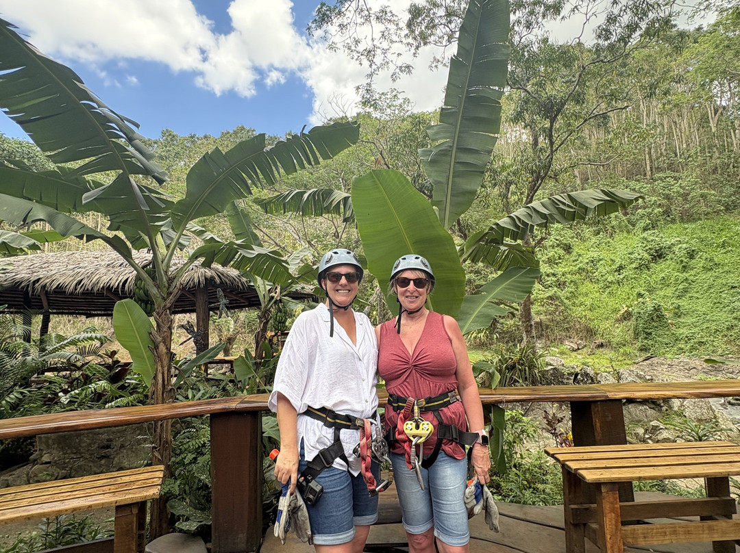 Sleeping Giant Zipline-纳迪市必去景点