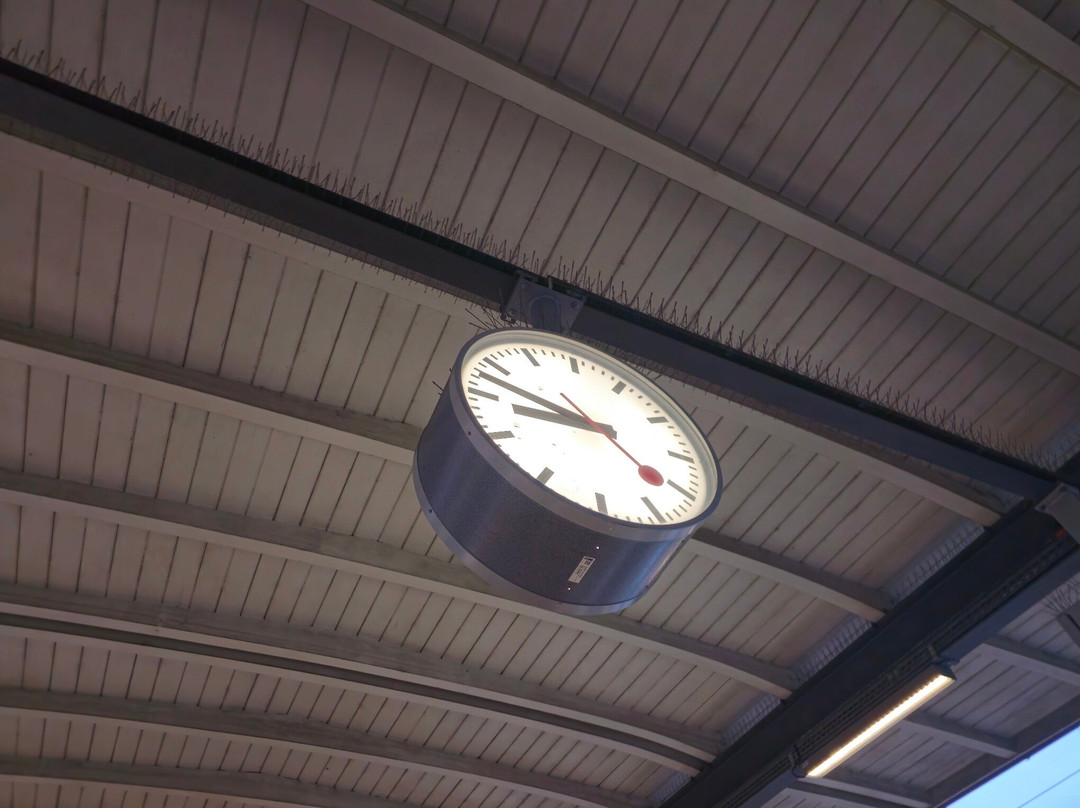 Lugano Train Station-卢加诺必去景点