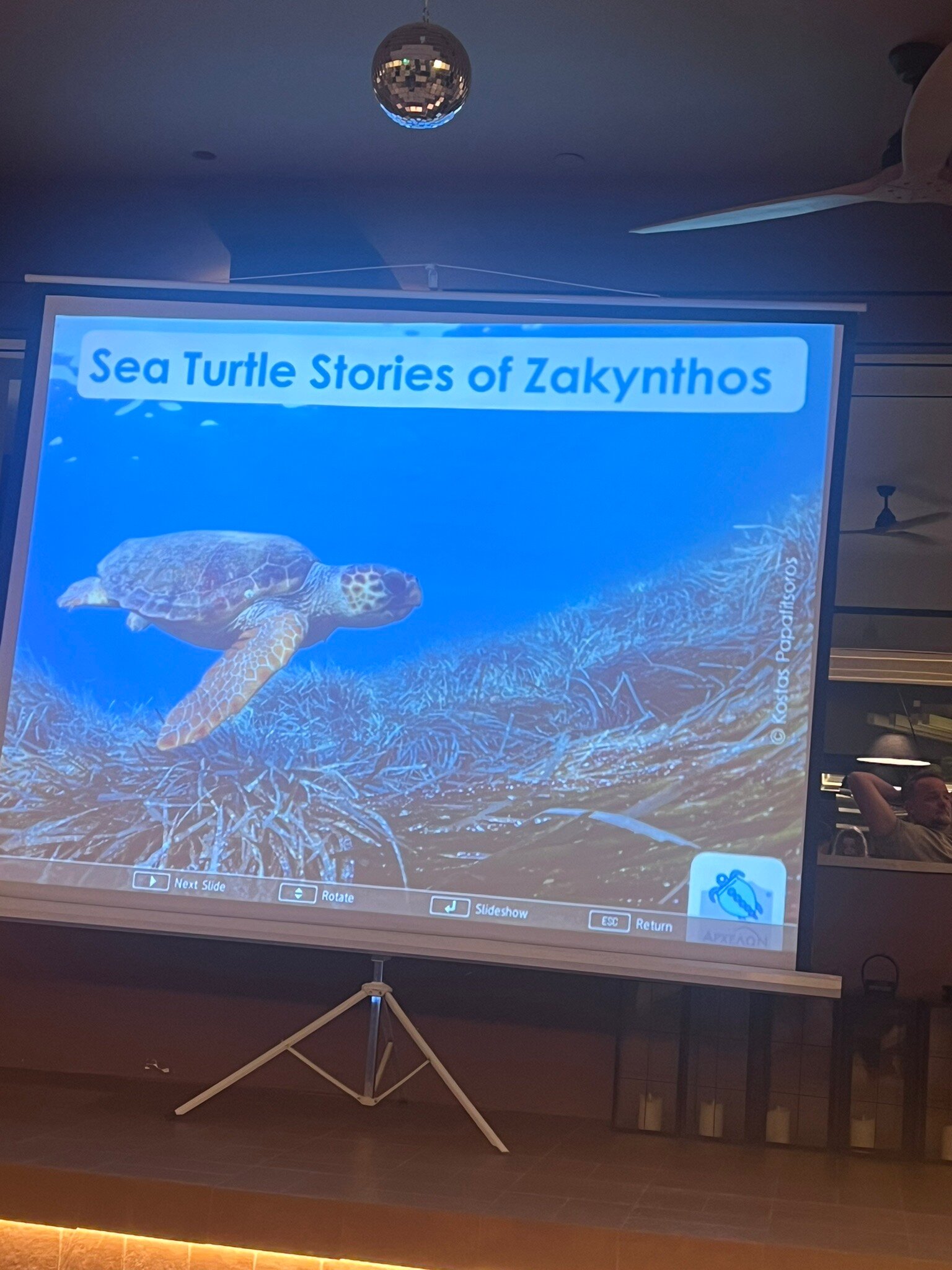 Domes Aulūs Zante, Autograph Collection-官方