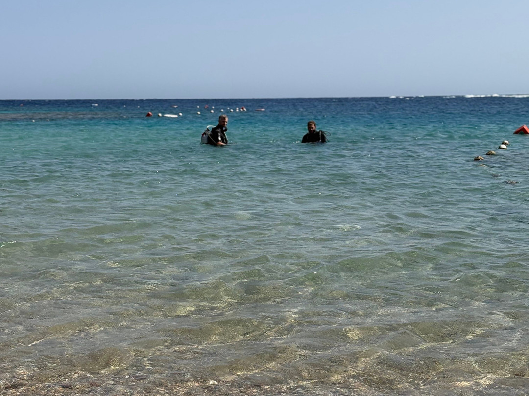 ORCA Dive Club Coral Garden-Safaga必去景点