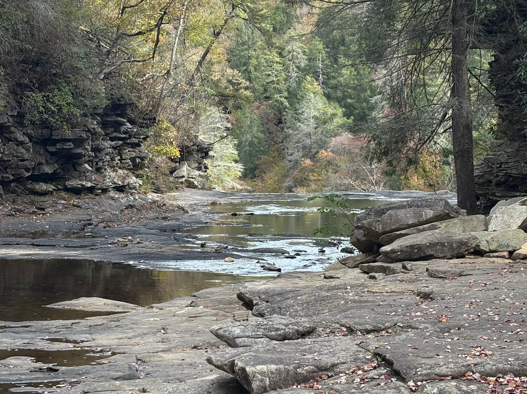 Fall Creek Falls State Park-Spencer必去景点