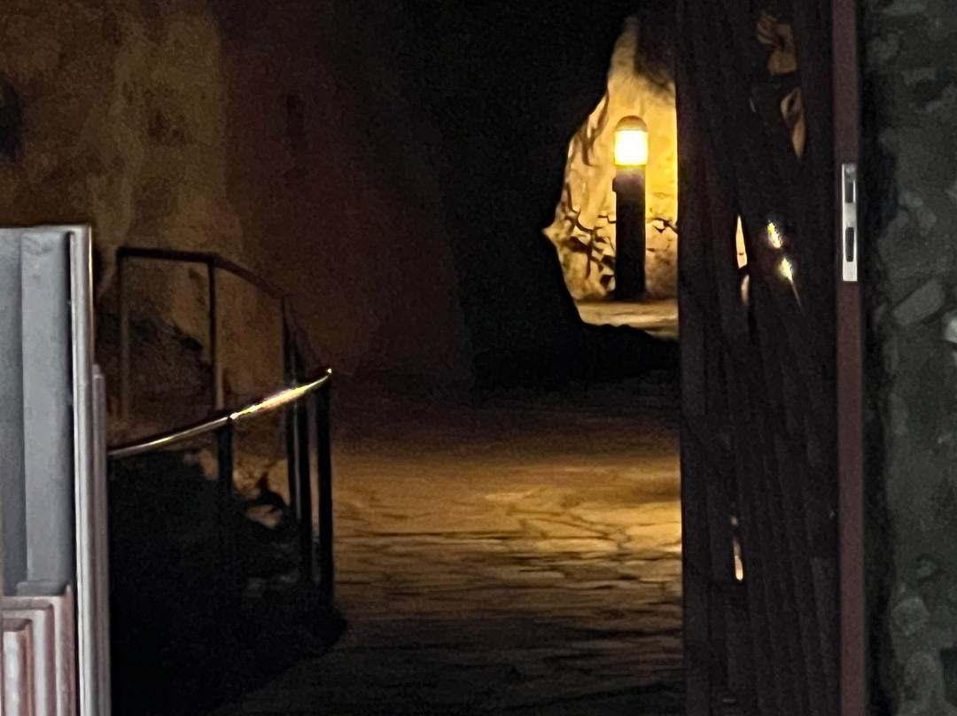 Cueva de Tito Bustillo-里瓦德塞利亚必去景点