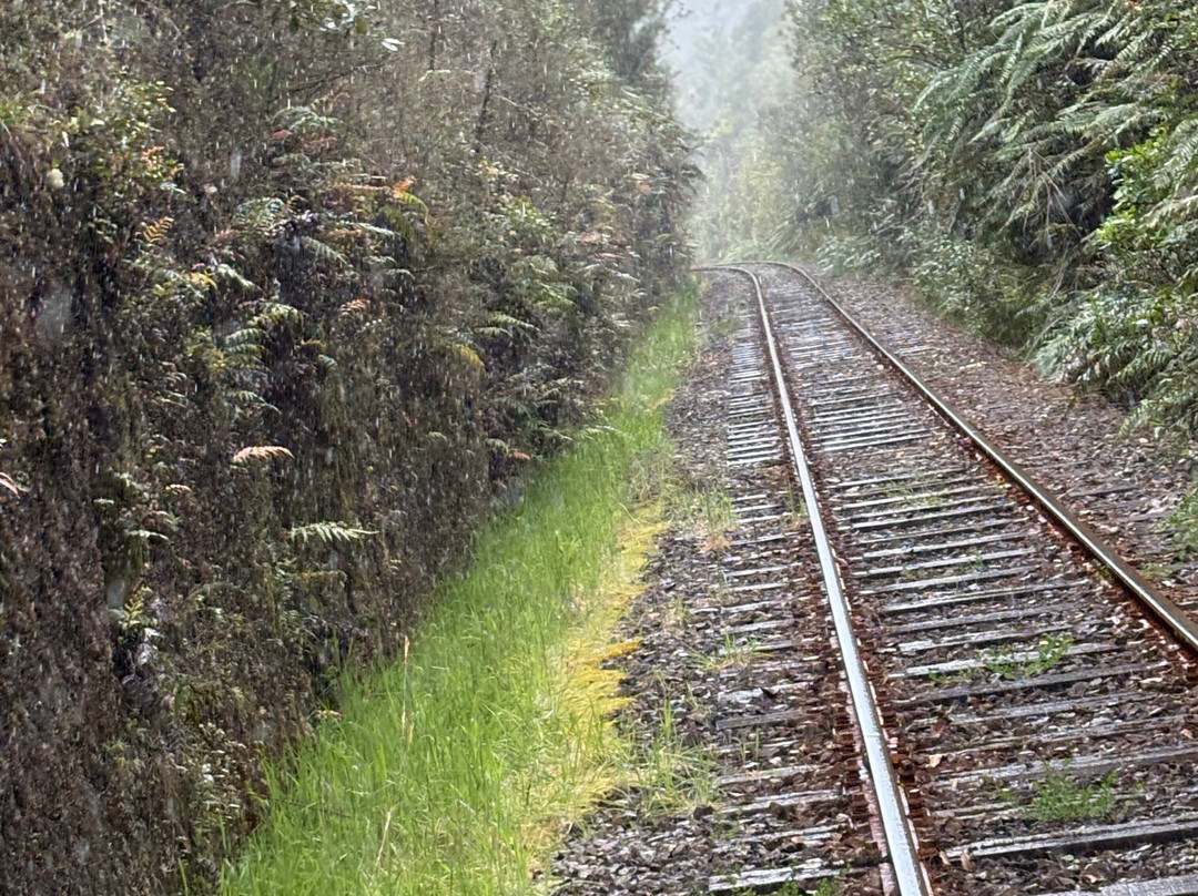 Rotorua Rail Cruising-罗托鲁瓦必去景点