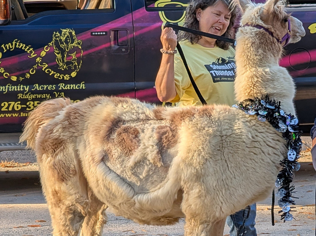 Infinity Acres Petting Ranch-Ridgeway必去景点