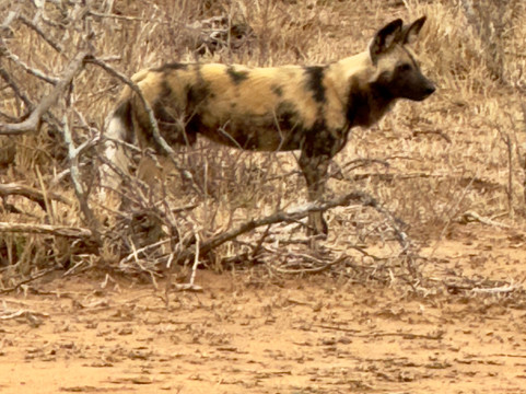 MyAfrica-霍德斯普鲁特必去景点