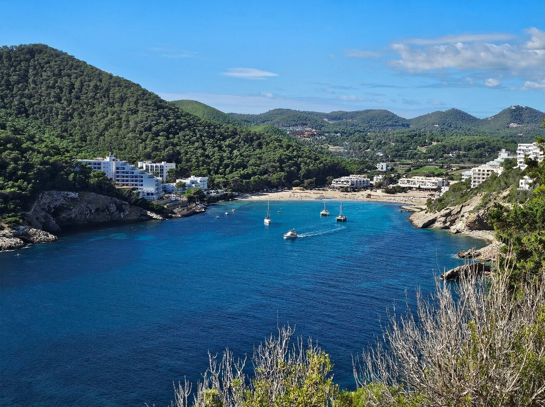 Playa Cala Llonga-Cala Llonga必去景点