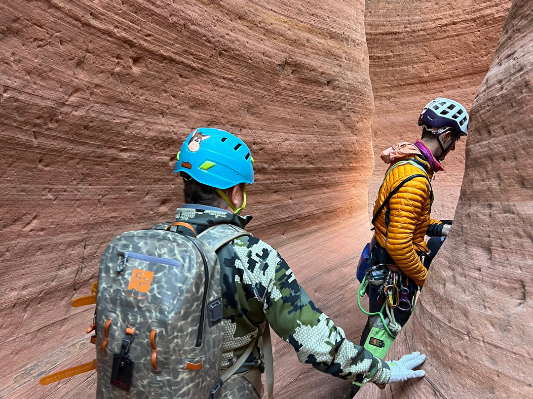 Zion Guru-斯普林代尔必去景点