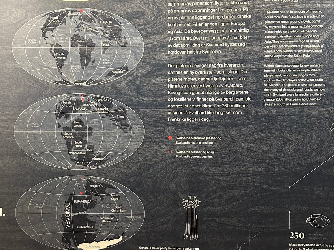 Svalbard Museum-朗伊尔城必去景点