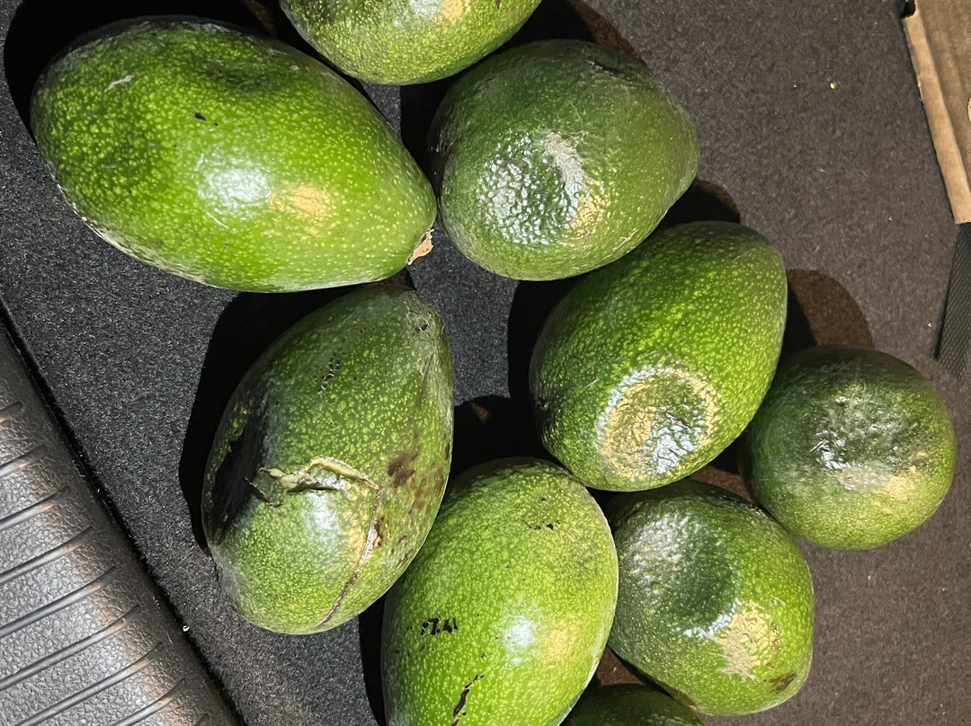 Finca Solmark-Carratraca必去景点