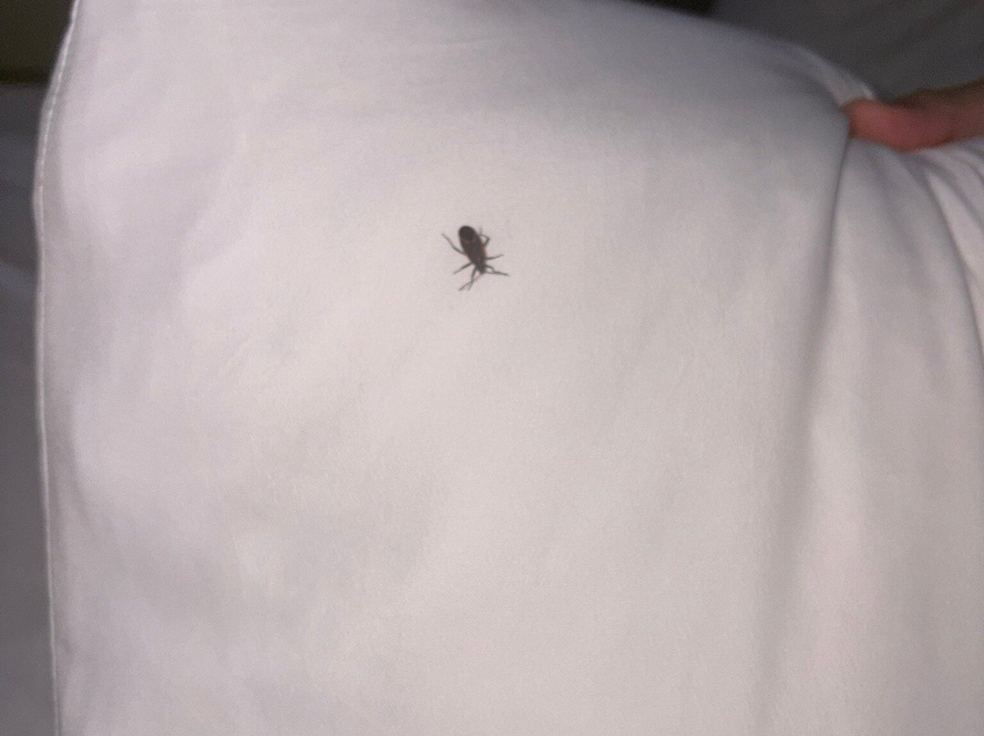 Country Inn & Suites by Radisson, Elk River, MN主图