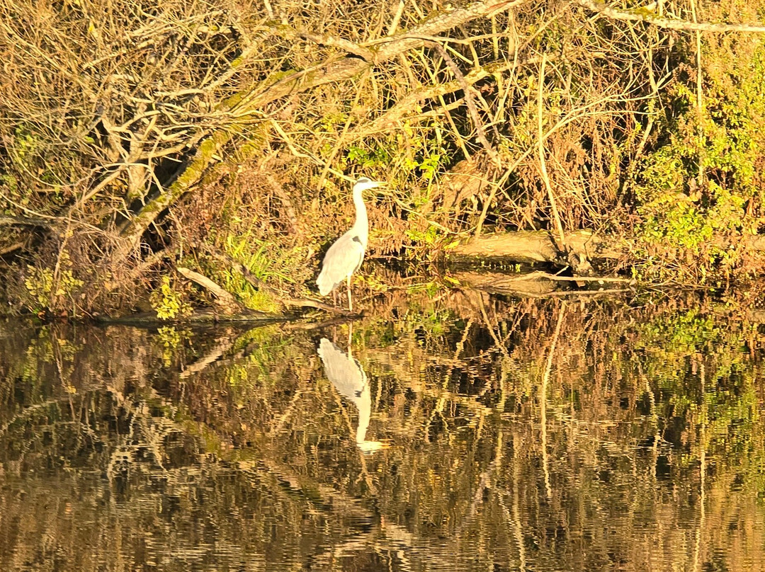 Le Boat - Benson-Benson必去景点