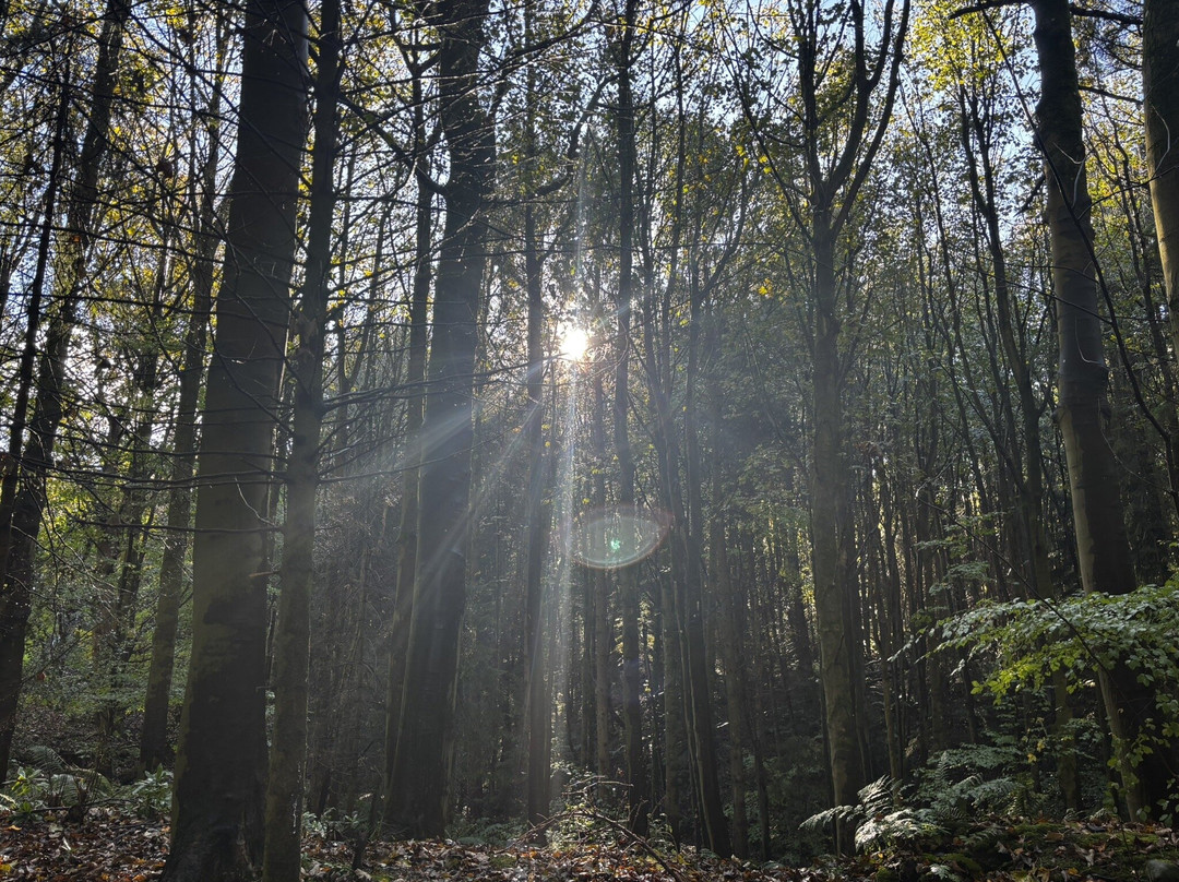 Maspie Den-Falkland必去景点