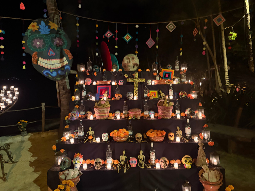 Rhythms of the Night by Vallarta Adventures-瓦拉塔港必去景点