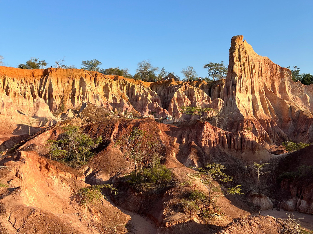 Safari Kenya roberto toba-瓦塔木必去景点