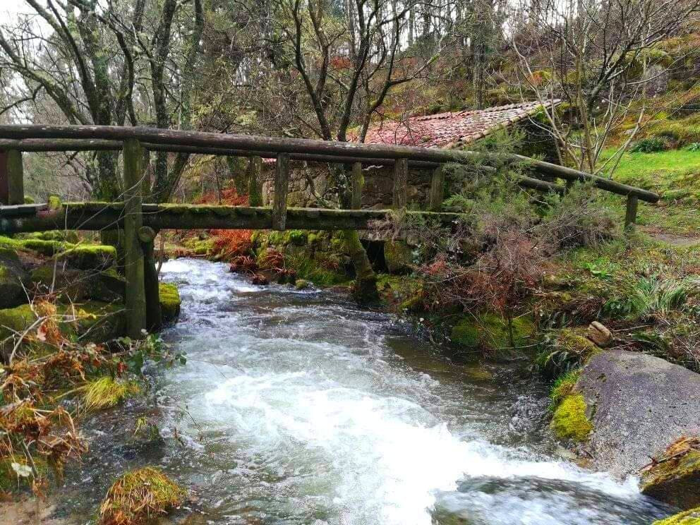 Parque Natural Monte Aloia-图伊必去景点