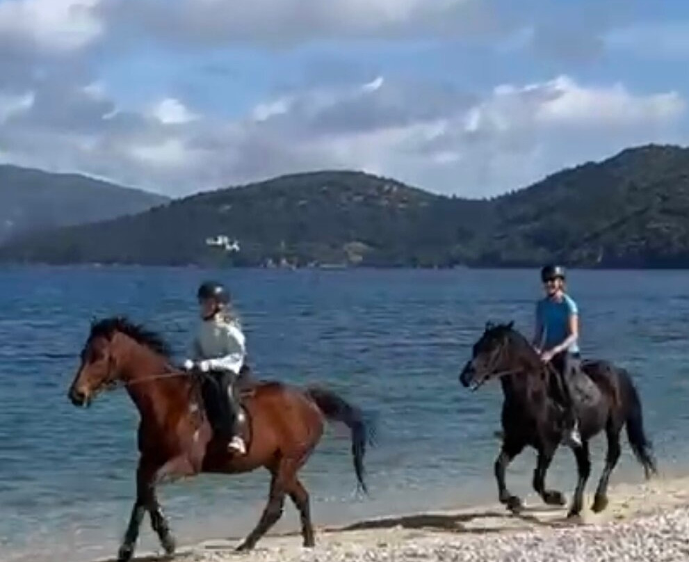 Kefalonia's Horse Riding Stable-萨米必去景点