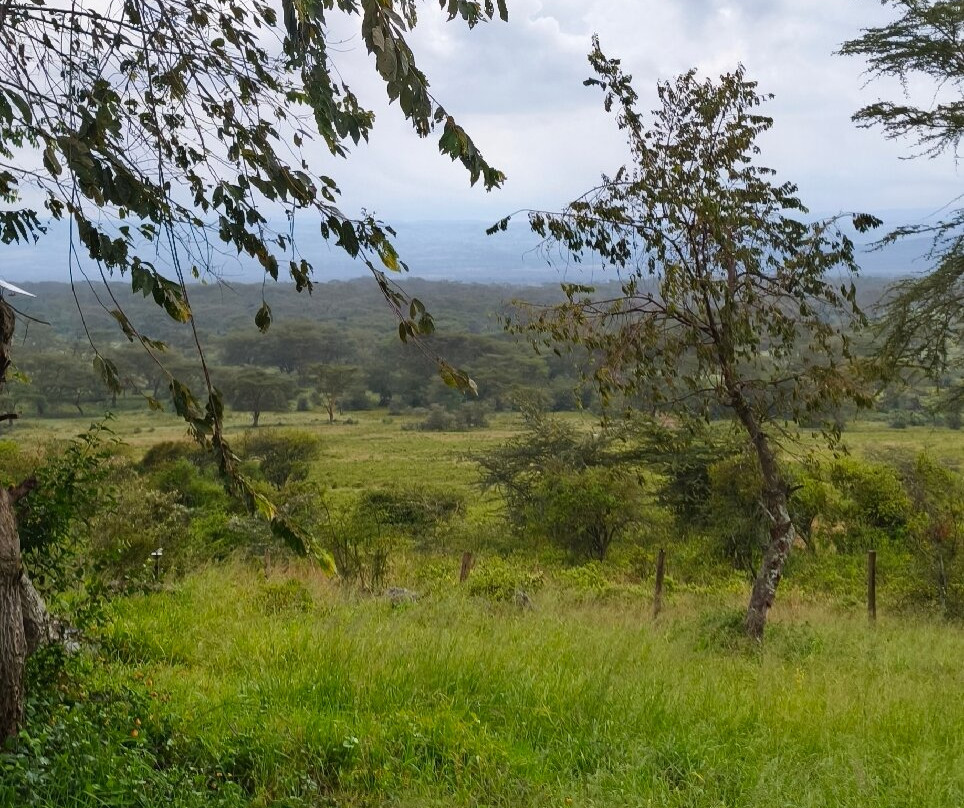 Lake Nakuru Lodge主图