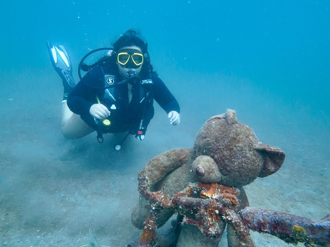 Alghais Diving-多哈必去景点