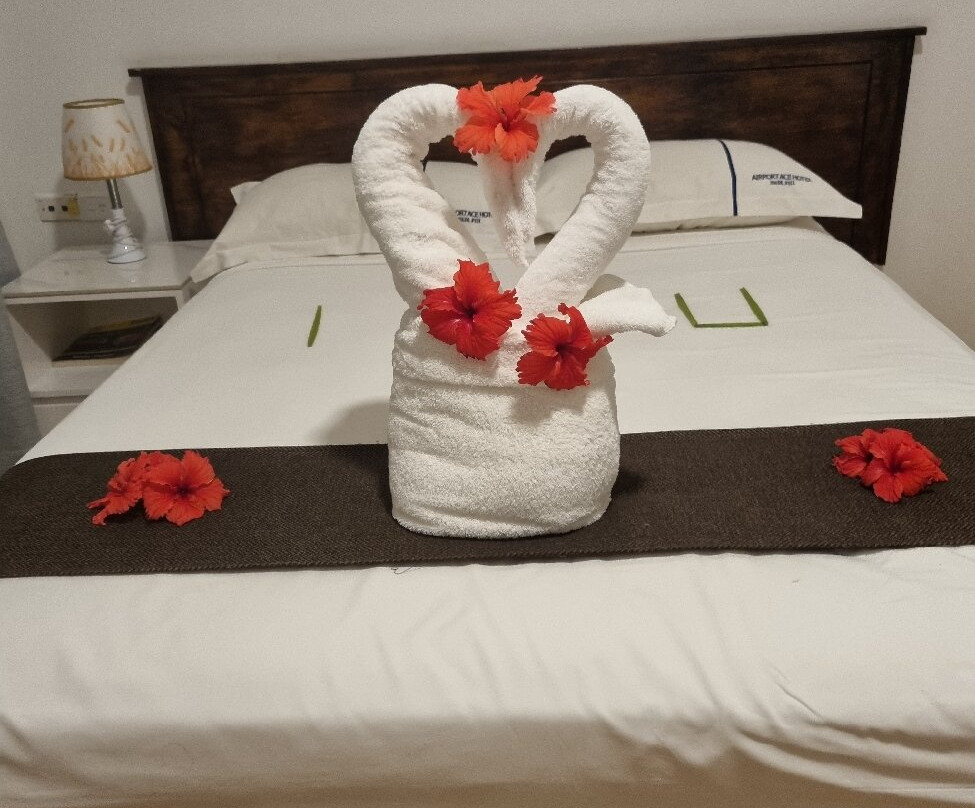 Airport Ace Hotel主图