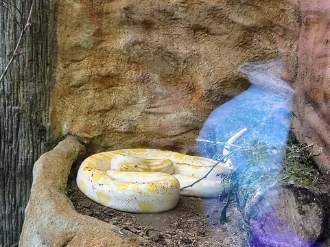 Natura Eco Park Costa Rica-福德圣卡洛斯必去景点