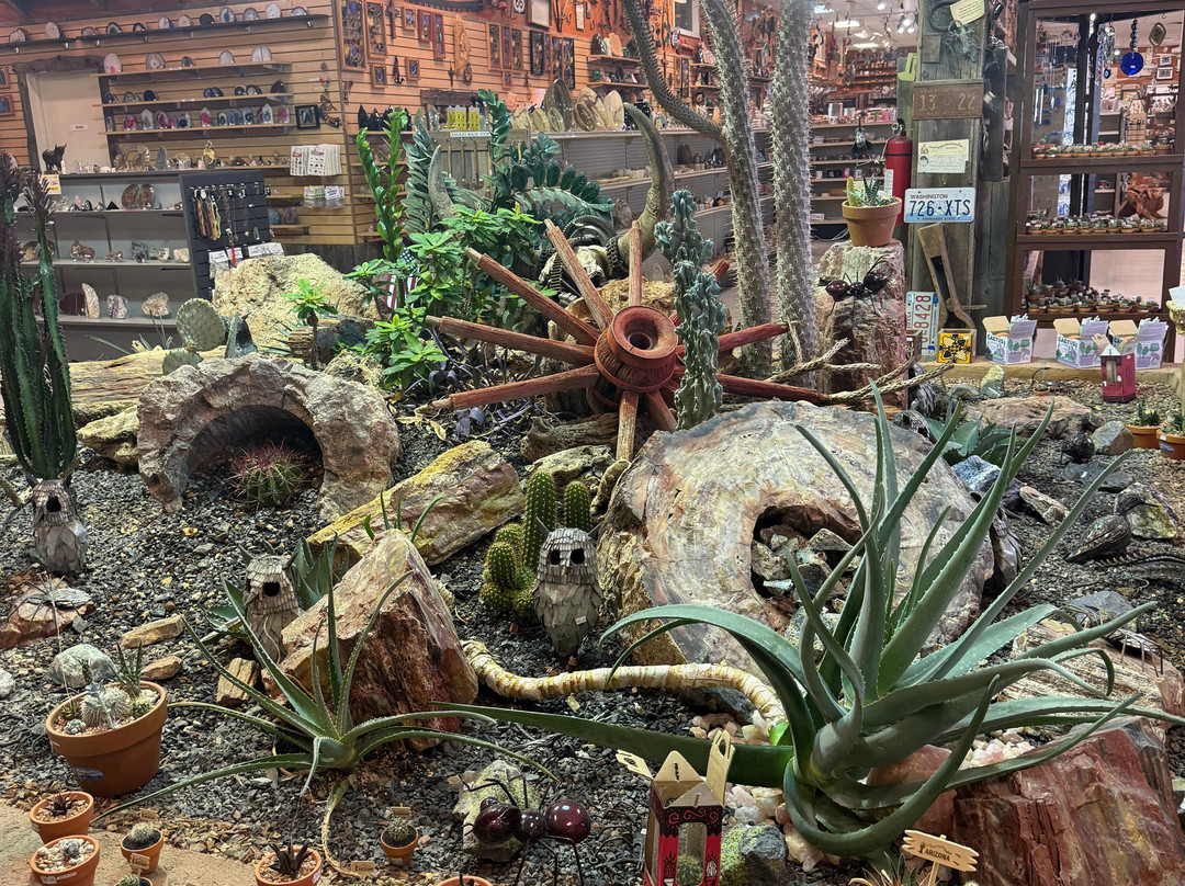 Jim Gray's Petrified Wood Co.-霍尔布鲁克必去景点