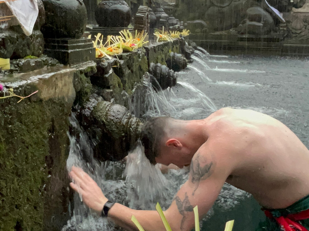 Bali waterfalls tours & jungle trekking-Sayan必去景点