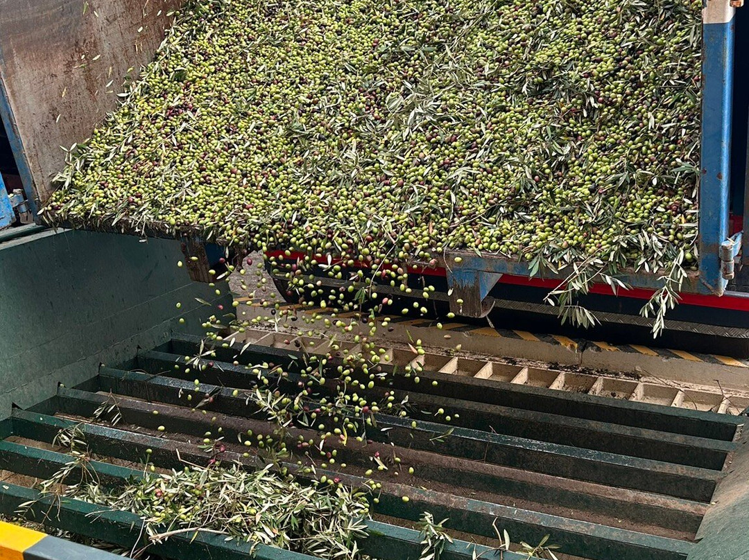 Oro Bailen-Villanueva de la Reina必去景点