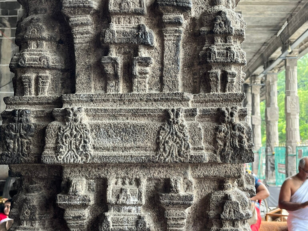 Ekambareswarar Temple-甘吉布勒姆必去景点
