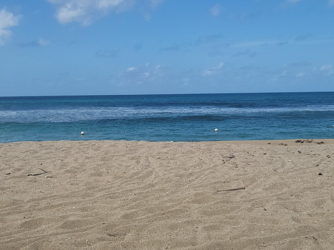 Fort Frederik-Frederiksted必去景点