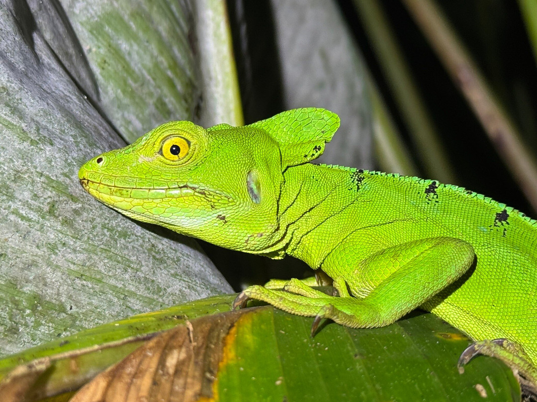 Tarantulas Way-卡维塔必去景点