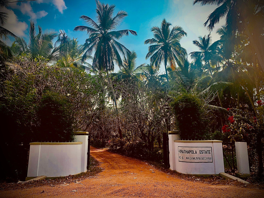 Horathapola Estate主图
