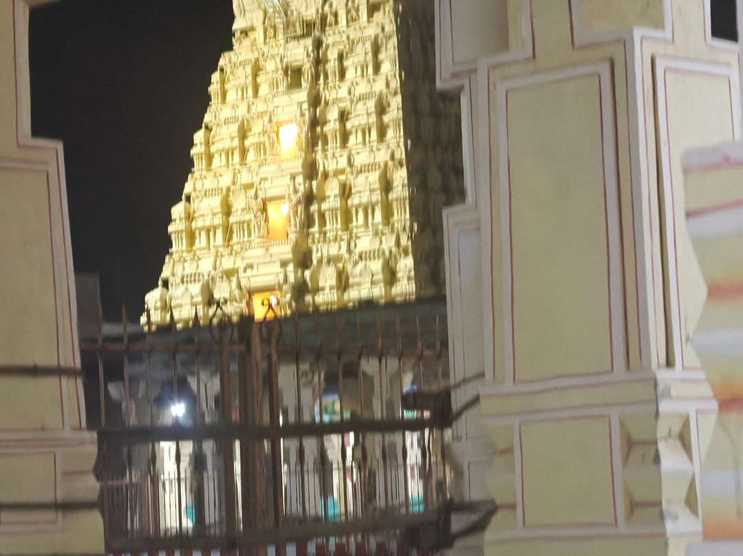 Arulmigu Ramanatha Swamy Temple-Rameswaram必去景点