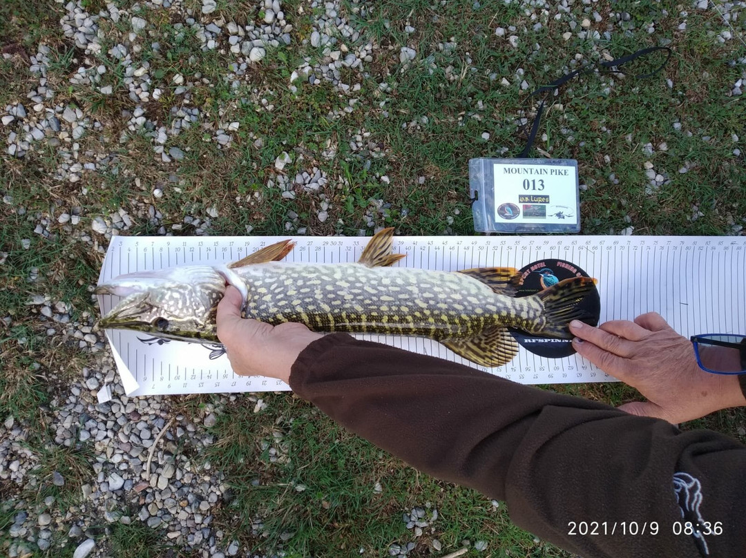 科雷多酒店住宿-Hotel Sport