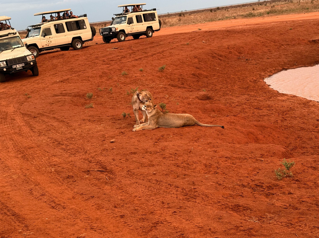 Dida Tours and Safaris-山祖必去景点