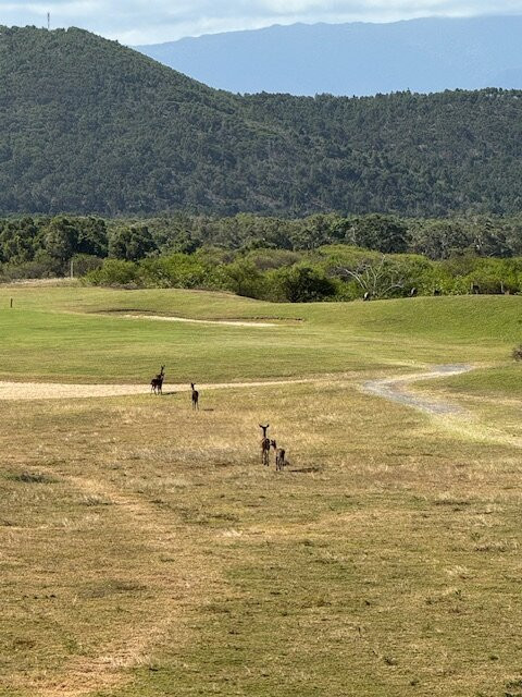 Sheraton New Caledonia Deva Spa & Golf Resort主图
