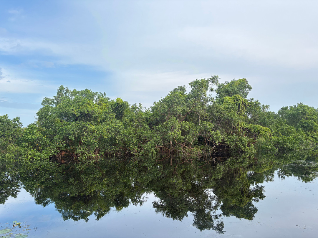 Kalametiya Bird Watching & Ecotourism-Kalametiya必去景点