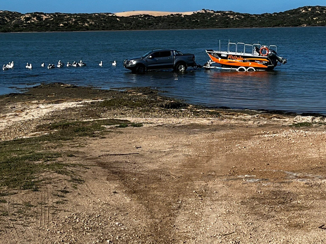 Coorong Wildside Tours-Meningie必去景点