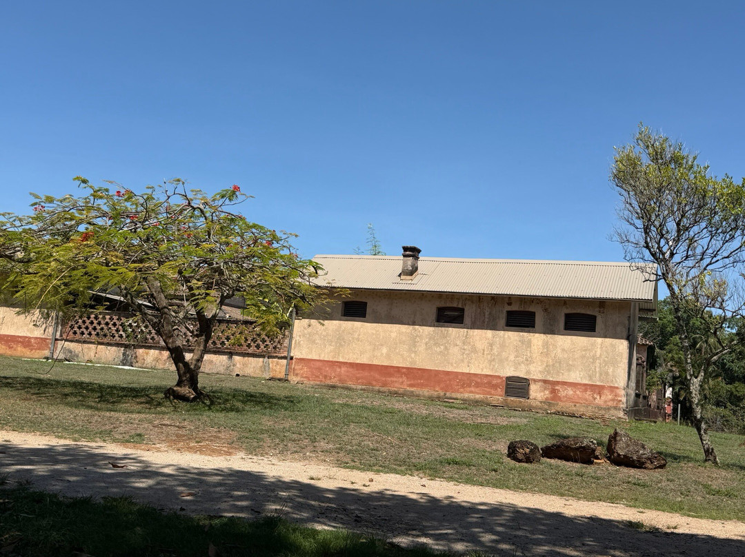 Chapelle de l'ile Royale-卡宴必去景点