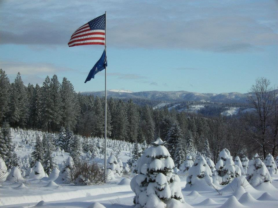 Snowy Peaks Tree Farm-Foresthill必去景点